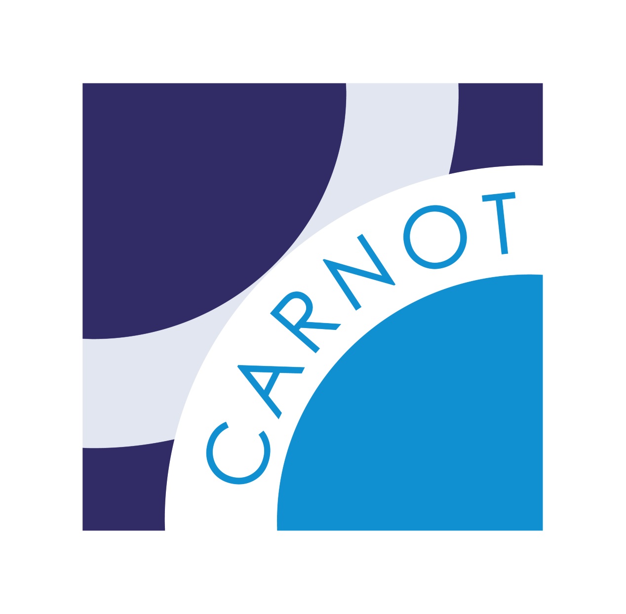 CARNOT_logo_carré_bord_blanc_petit.jpg